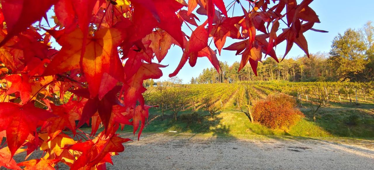 La Valle Nervesa della Battaglia Esterno foto