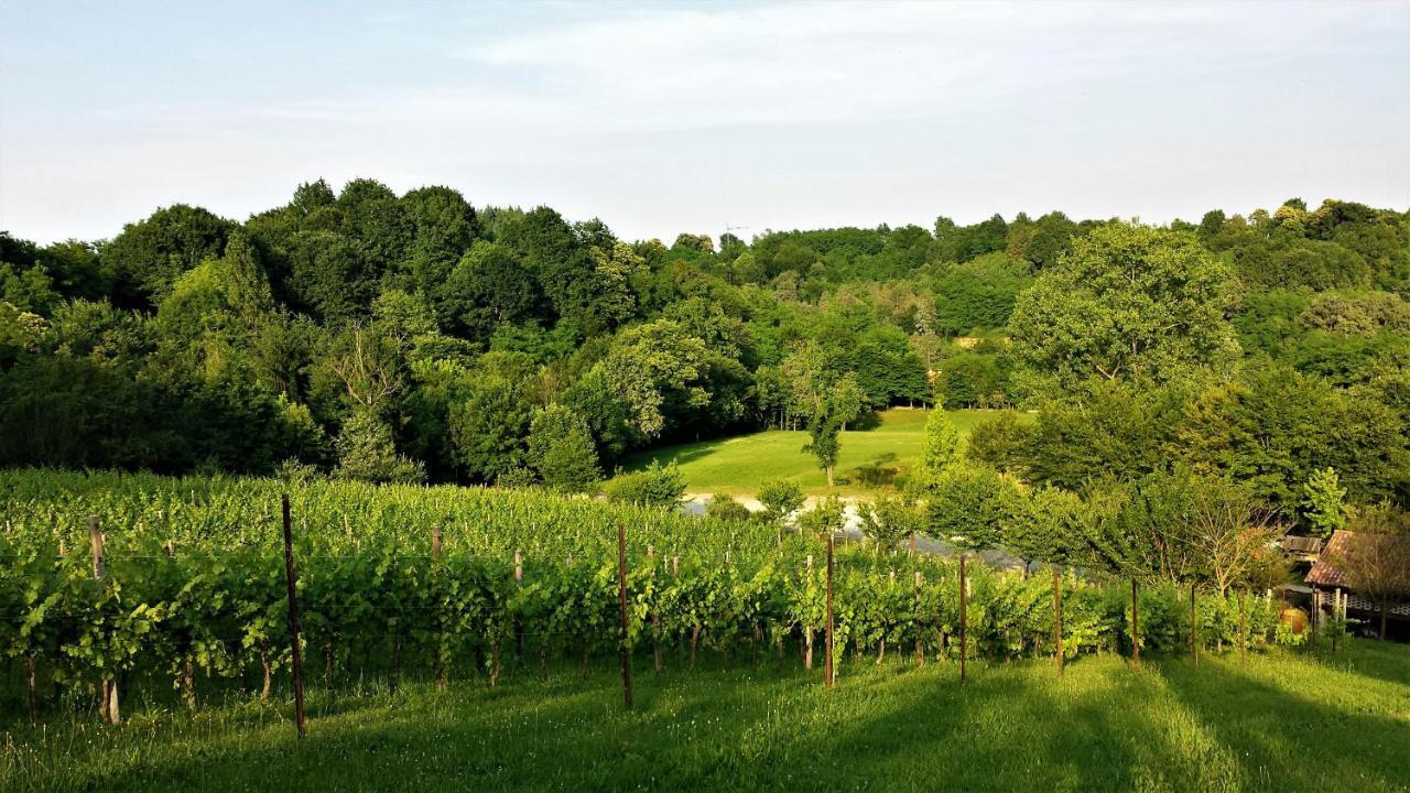 La Valle Nervesa della Battaglia Esterno foto