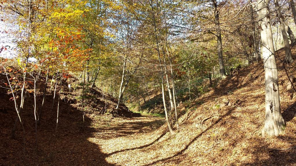 La Valle Nervesa della Battaglia Esterno foto